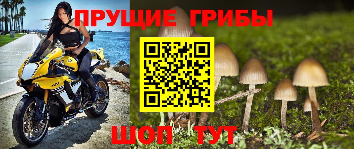 Псилоцибиновые грибы MAGIC MUSHROOMS  Вход с VPN  Городец  Галлюциногенные грибы MAGIC MUSHROOMS 